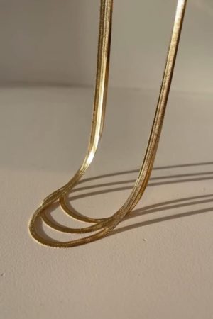 Layering Herringbone Necklace