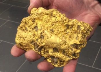 Retiree finds massive gold nugget outside historic… Retiree finds massive gold nugget outside historic…