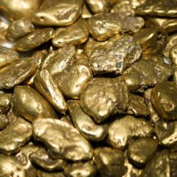 gold nuggets from Washington